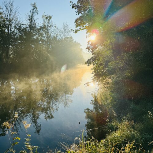 Sonnenlicht spiegelt sich im Wasser in der Natur rund um das Schloss Pertenstein